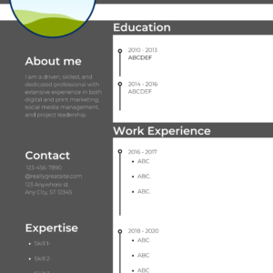 Resume Infographic, Resume Infographics