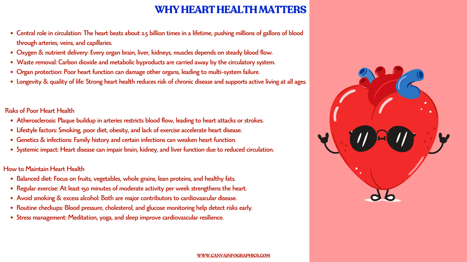 Anatomical Infographics, Anatomical Infographic, Infographics