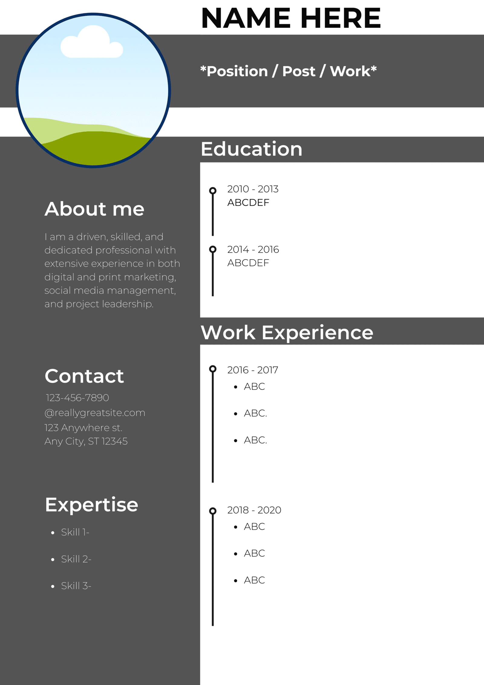 Resume Infographic, Resume Infographics